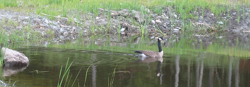 Térritoire de chasse et pêche au. f. r.  inc. - photo  2